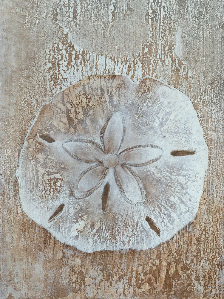 Sand Dollar art print by Cloverfield And Co. for $57.95 CAD