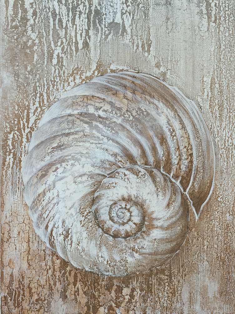 Rustic Seashell art print by Cloverfield And Co. for $57.95 CAD
