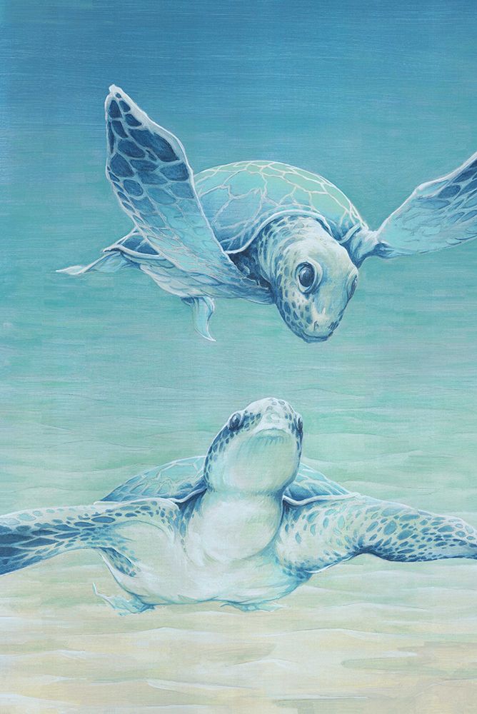 Sea Turtle Swim art print by Cloverfield And Co. for $57.95 CAD