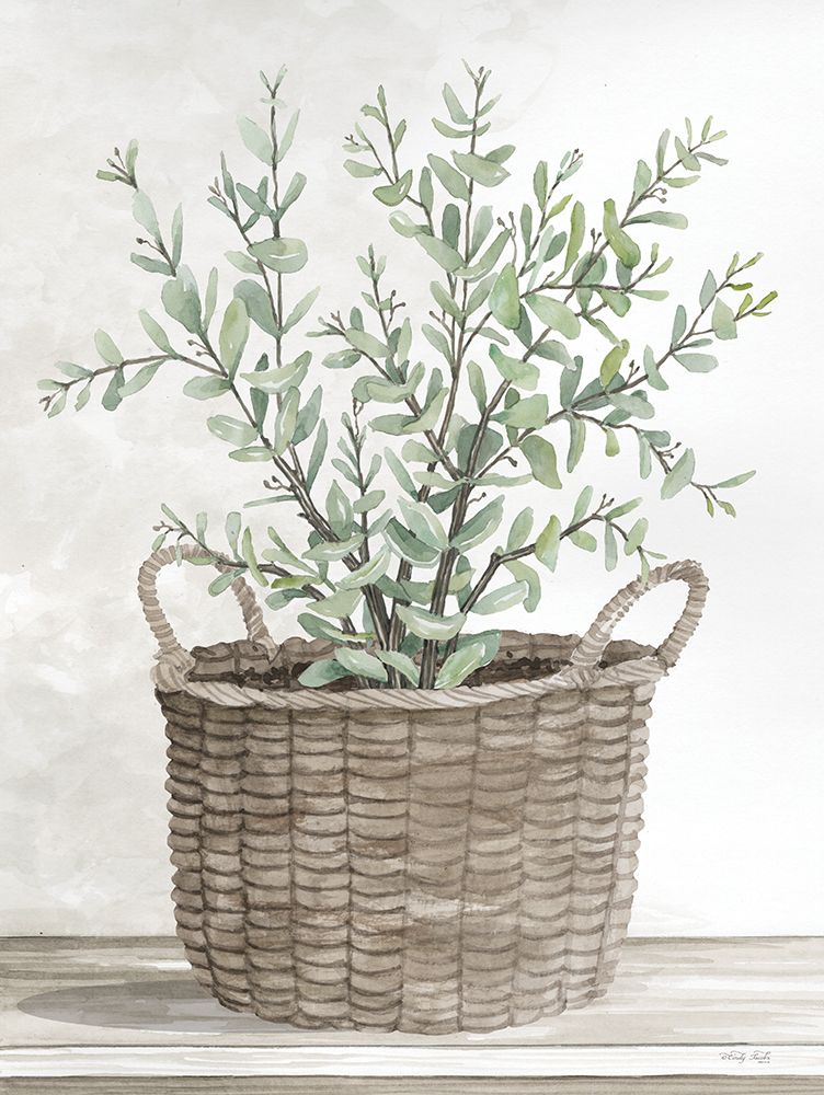 Eucalyptus Basket     art print by Cindy Jacobs for $57.95 CAD