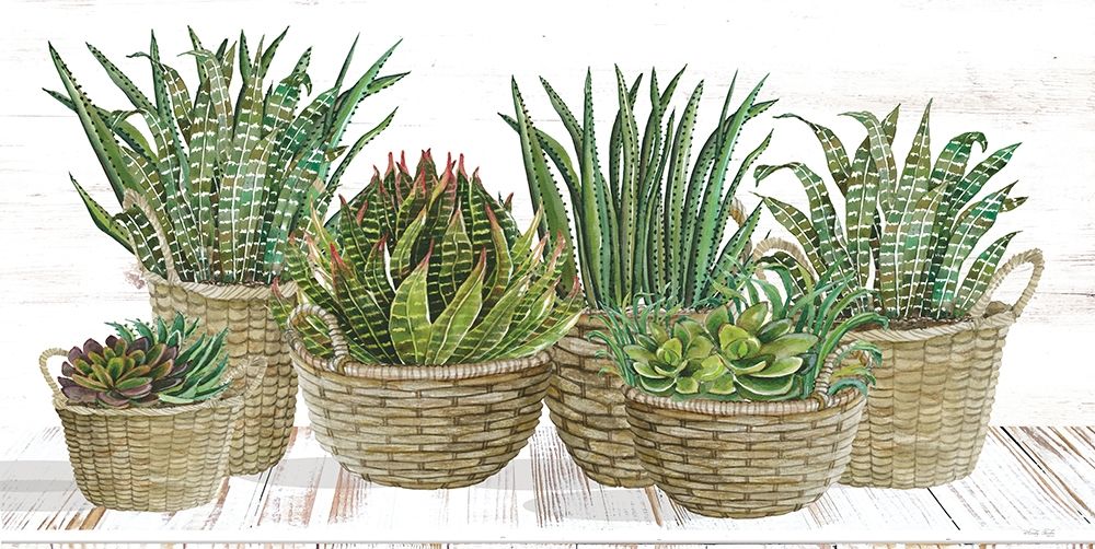 Succulent Baskets art print by Cindy Jacobs for $57.95 CAD