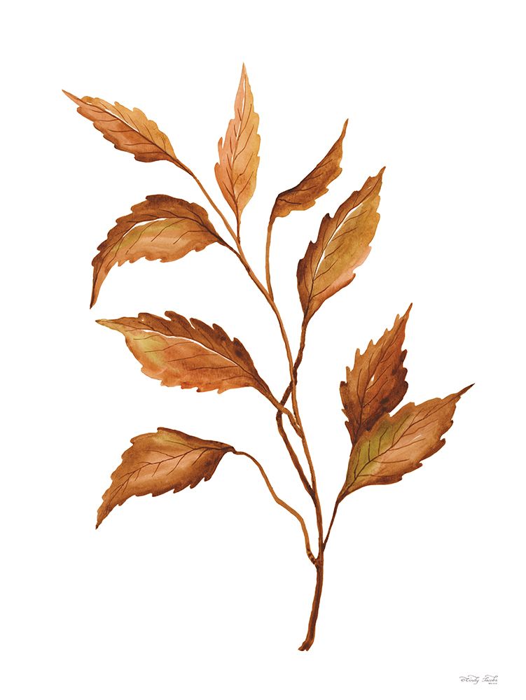 Fall Leaf Stem IV art print by Cindy Jacobs for $57.95 CAD