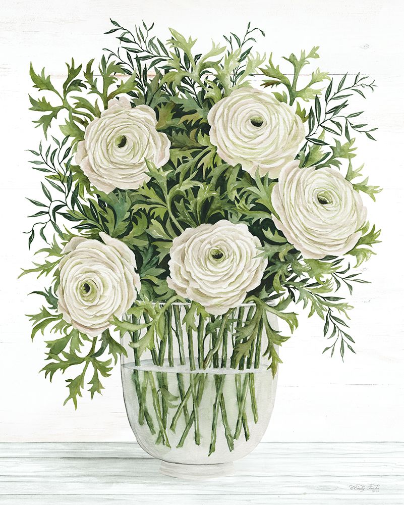 Ranunculus on White art print by Cindy Jacobs for $57.95 CAD