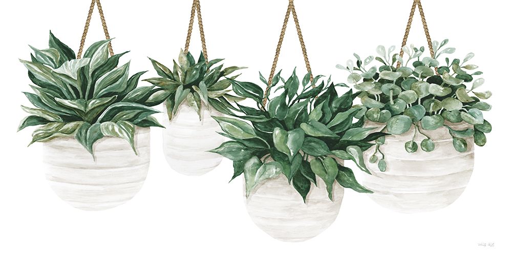 Hanging Plants art print by Cindy Jacobs for $57.95 CAD