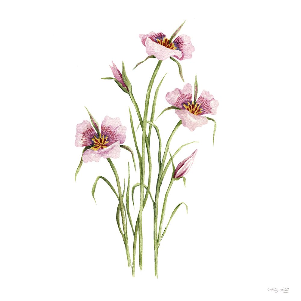 Mariposa Botanical art print by Cindy Jacobs for $57.95 CAD