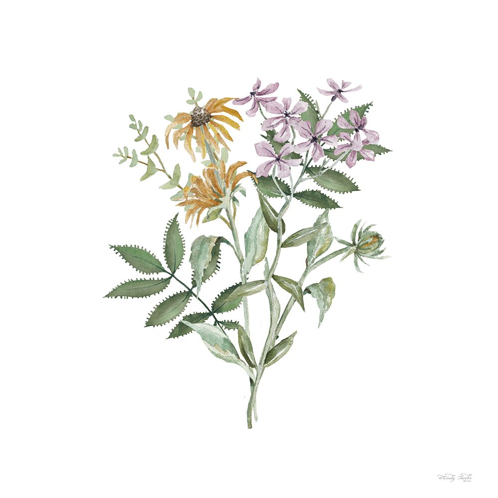 Botanical Mix I art print by Cindy Jacobs for $57.95 CAD