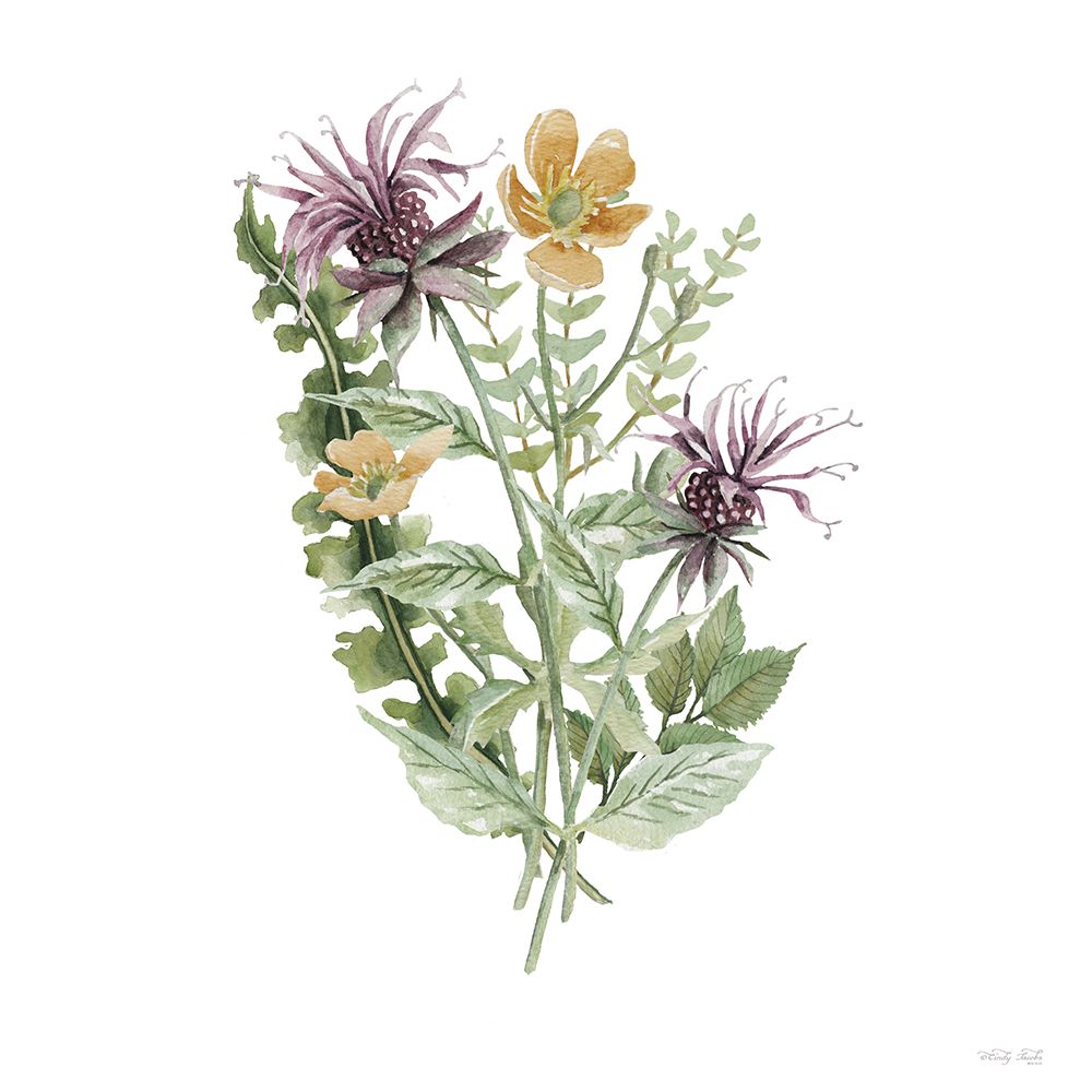 Botanical Mix II art print by Cindy Jacobs for $57.95 CAD