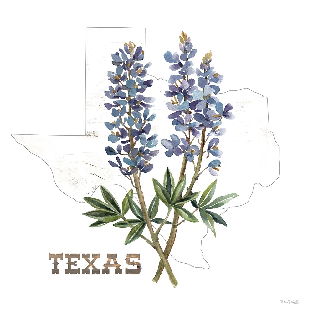 Texas Bluebonnets art print by Cindy Jacobs for $57.95 CAD