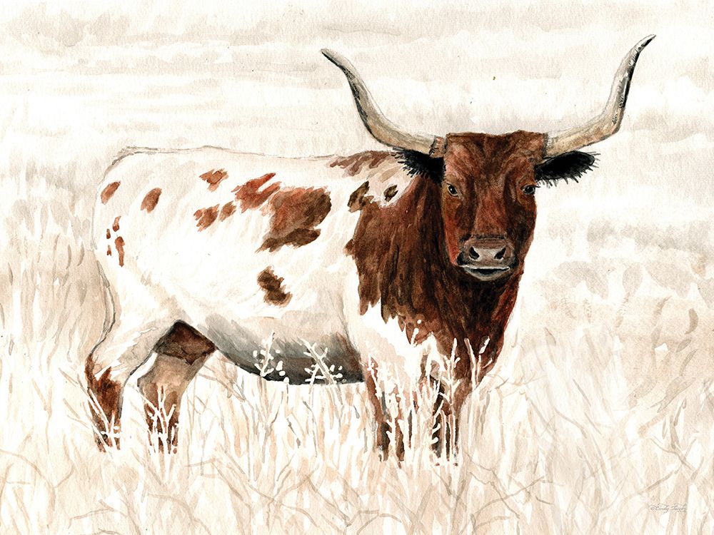 Longhorn and Proud art print by Cindy Jacobs for $57.95 CAD