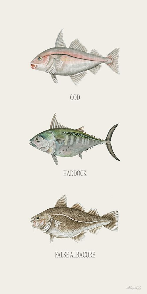 Fish Chart I art print by Cindy Jacobs for $57.95 CAD