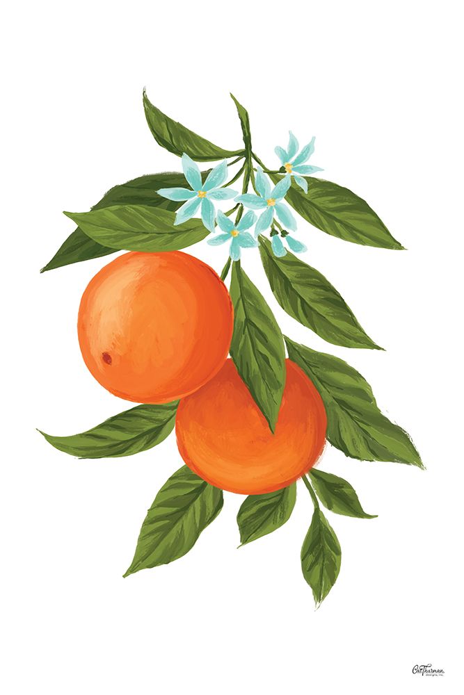 Oranges art print by Oranges for $57.95 CAD
