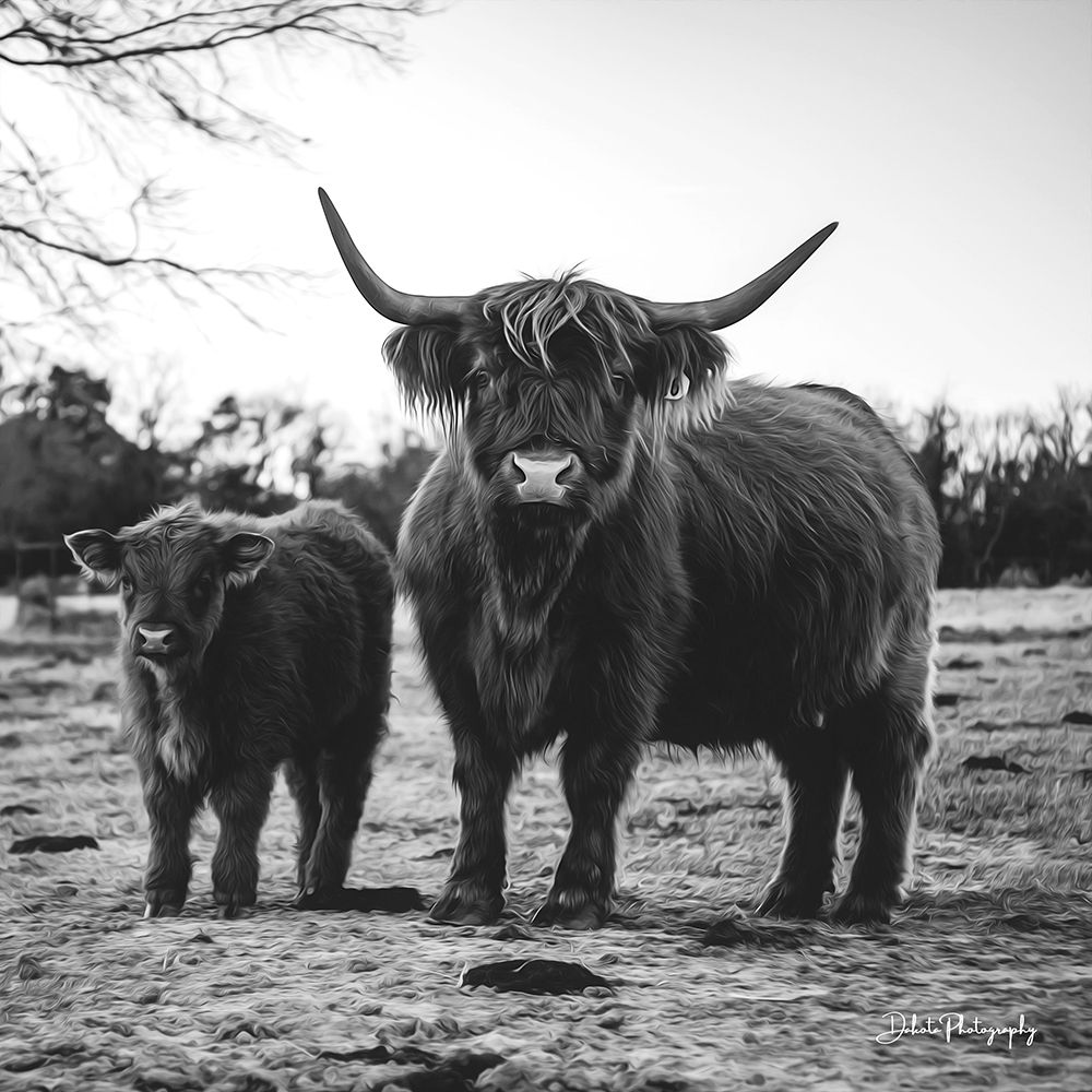 Highland Mom and Daughter II art print by Dakota Diener for $57.95 CAD