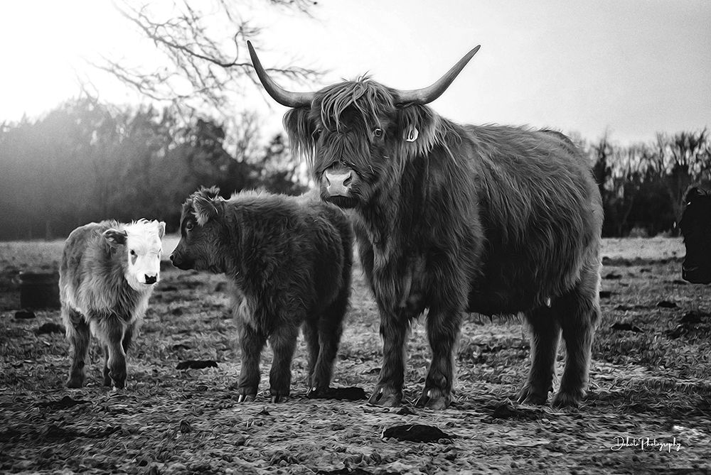 Cow Family art print by Dakota Diener for $57.95 CAD