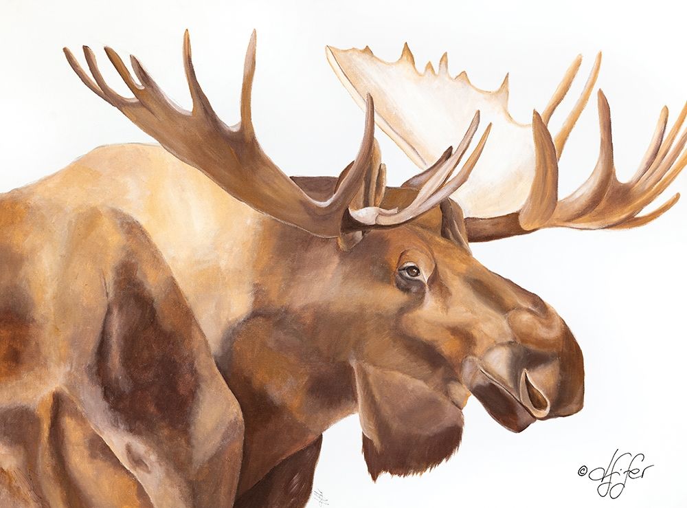 Moose Be Single art print by Diane Fifer for $57.95 CAD