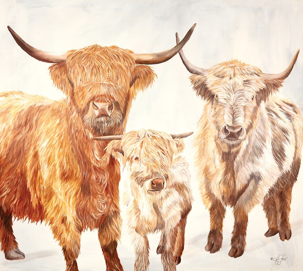 Hairy Highland Cattle art print by Diane Fifer for $57.95 CAD
