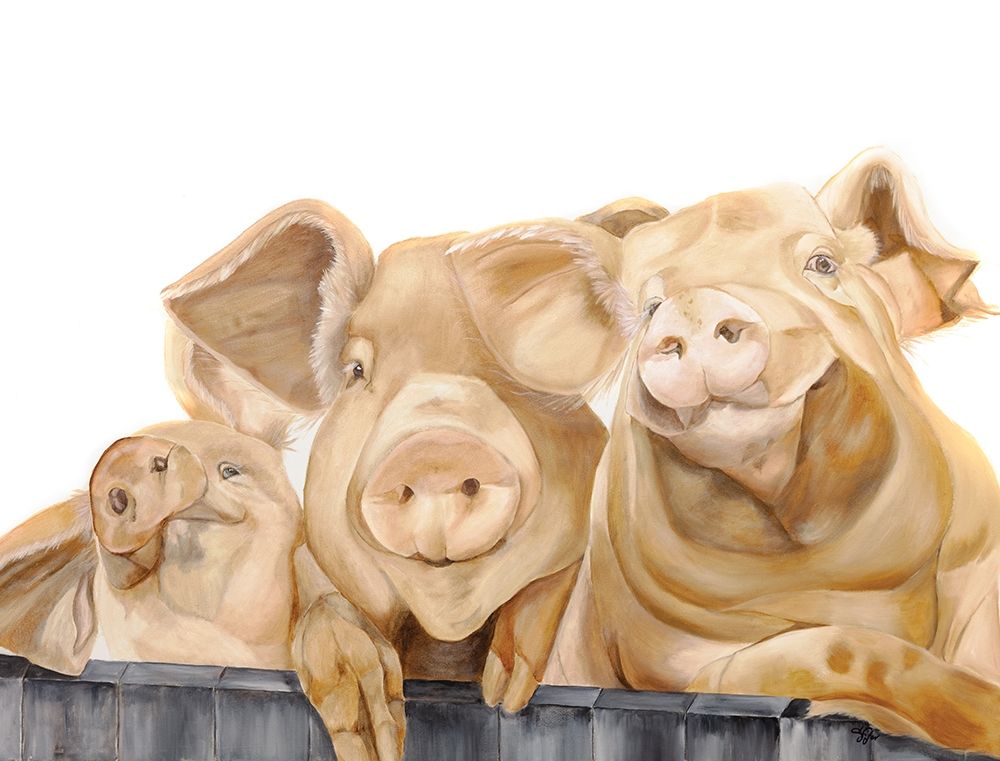 Three Pigs art print by Diane Fifer for $57.95 CAD
