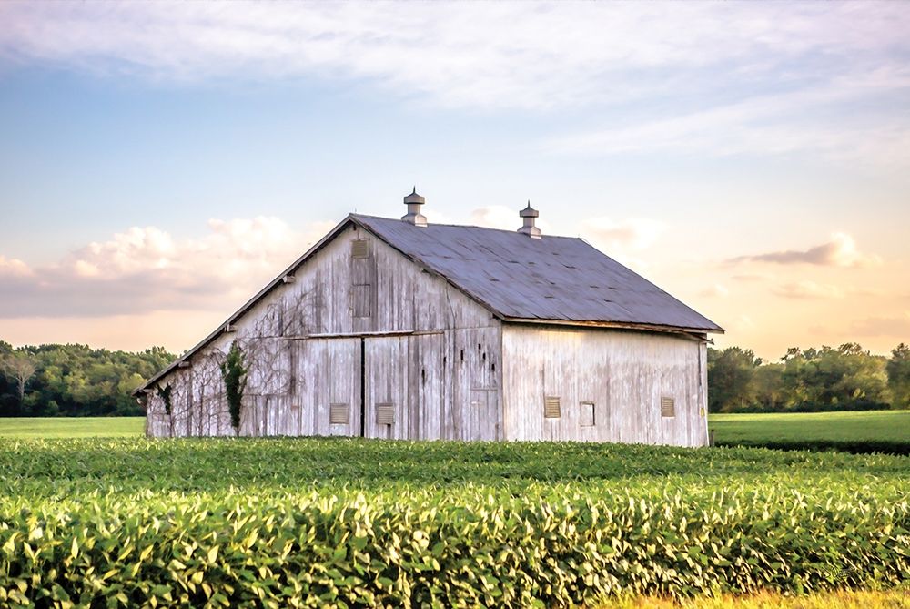 Rural Ohio Barn art print by Donnie Quillen for $57.95 CAD