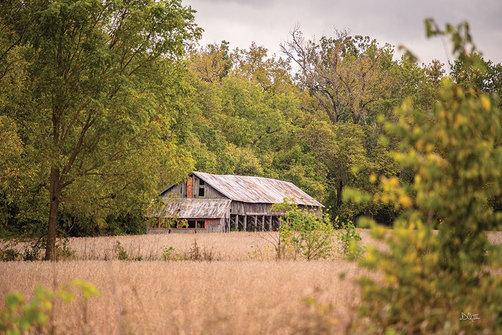 Barn in the Country II art print by Donnie Quillen for $57.95 CAD