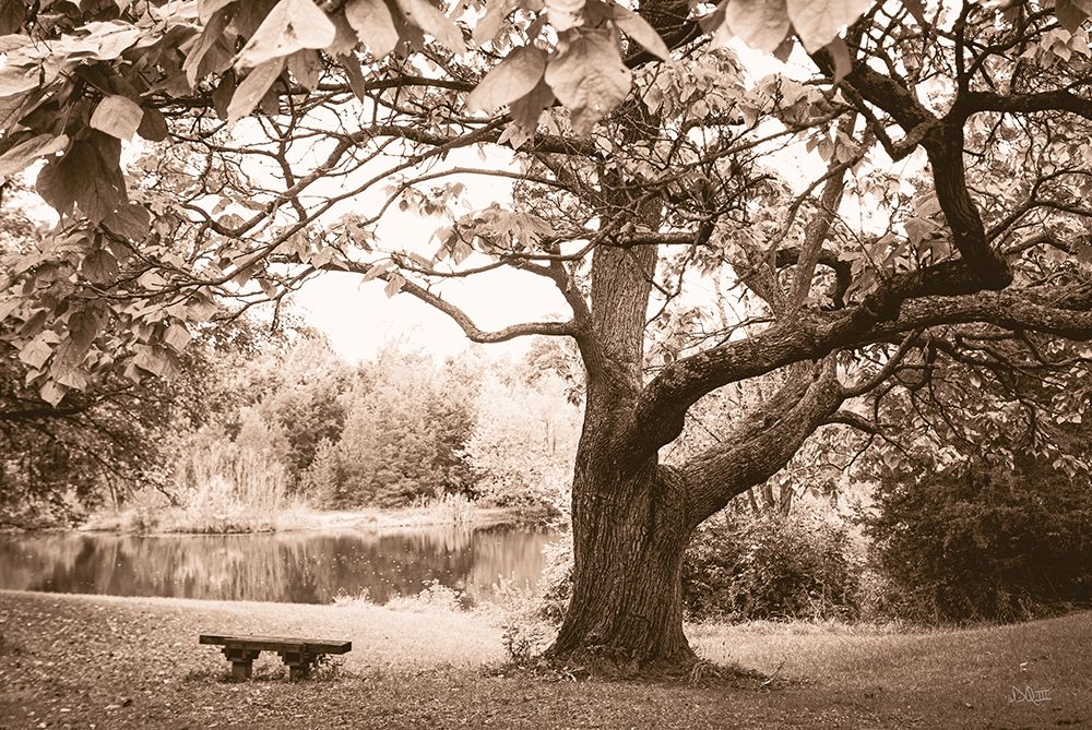 Peaceful Resting Spot art print by Donnie Quillen for $57.95 CAD
