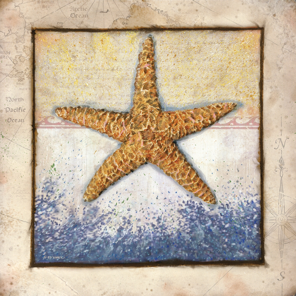 Starfish art print by Ed Wargo for $57.95 CAD