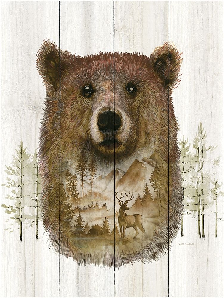 Bear Wilderness Portrait art print by Ed Wargo for $57.95 CAD