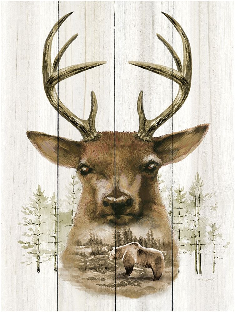 Deer Wilderness Portrait art print by Ed Wargo for $57.95 CAD