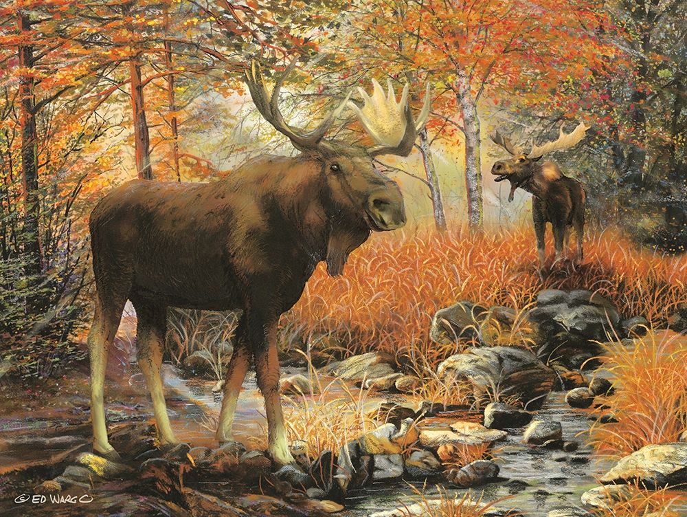 Call of the Wild art print by Ed Wargo for $57.95 CAD