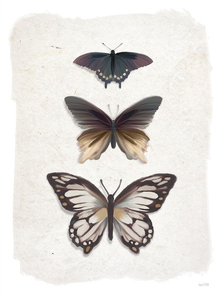 Weathered Butterflies art print by House Fenway for $57.95 CAD