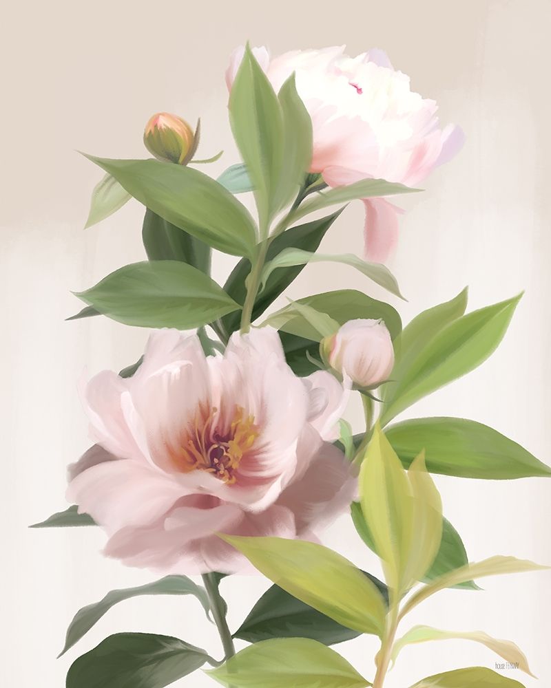 Washed Peonies art print by House Fenway for $57.95 CAD