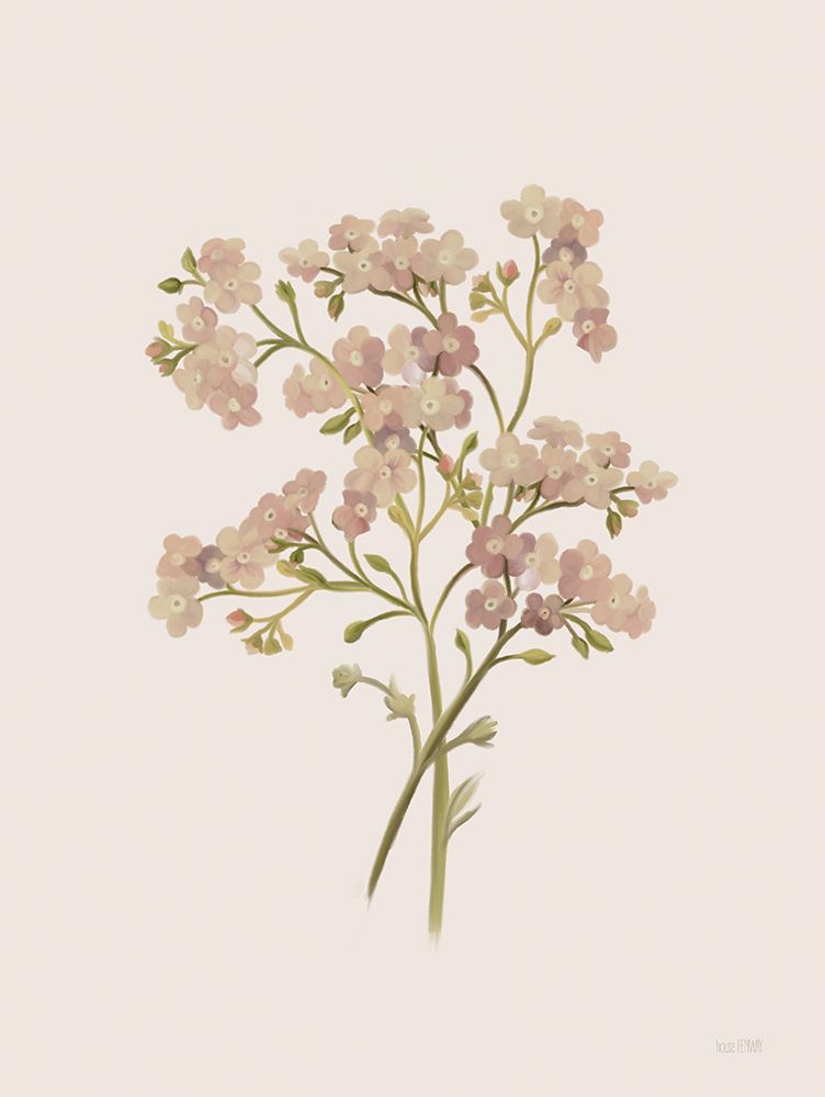 British Wildflower I art print by House Fenway for $57.95 CAD