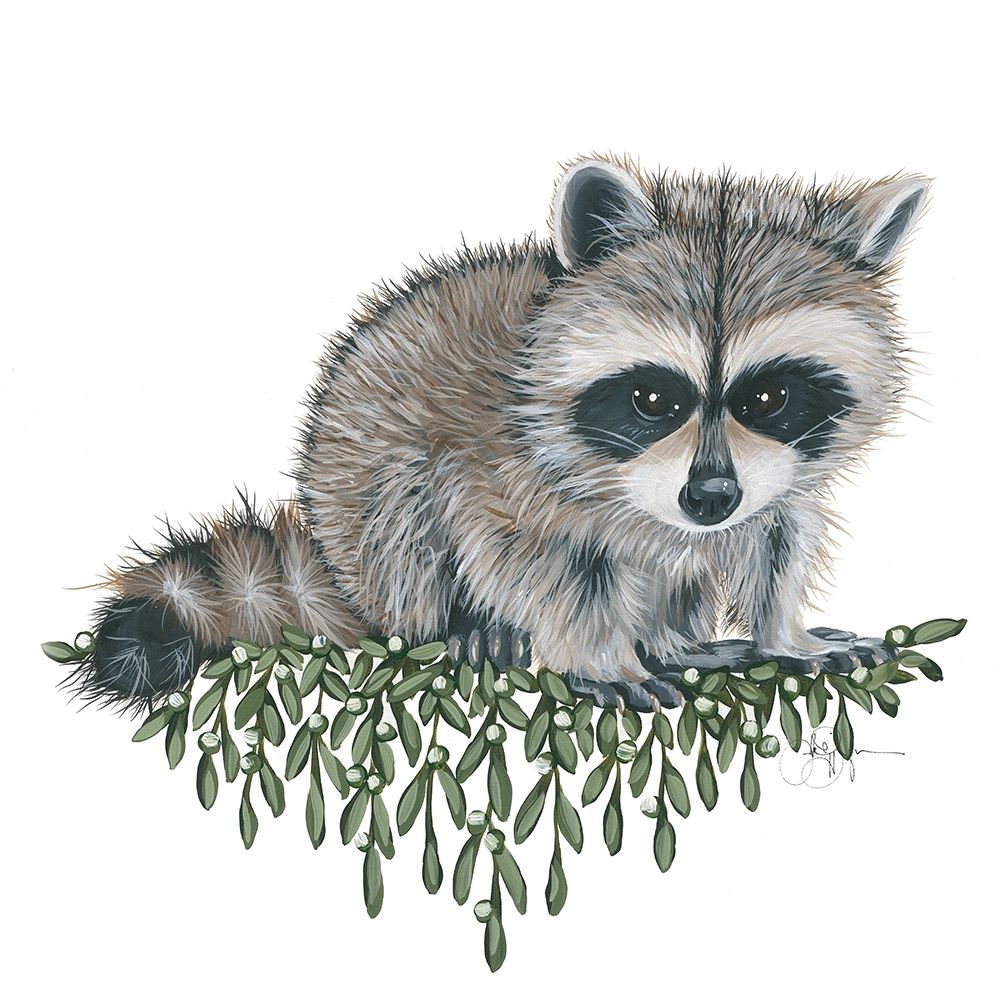 Baby Raccoon art print by Holllihocks Art for $57.95 CAD