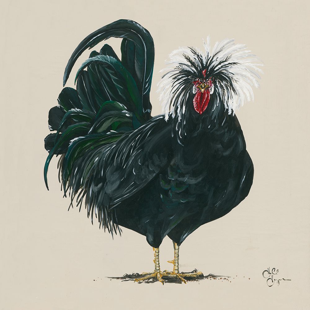 Chicken     art print by Hollihocks Art for $57.95 CAD