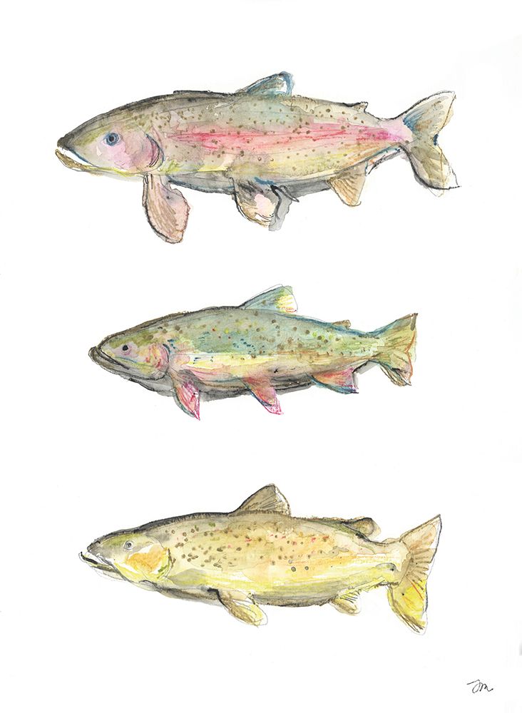 Trout art print by Jessica Mingo for $57.95 CAD