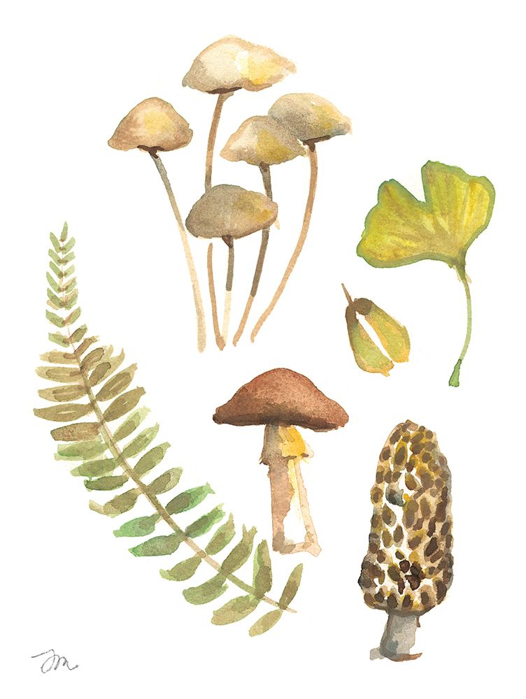 November Mushrooms art print by Jessica Mingo for $57.95 CAD