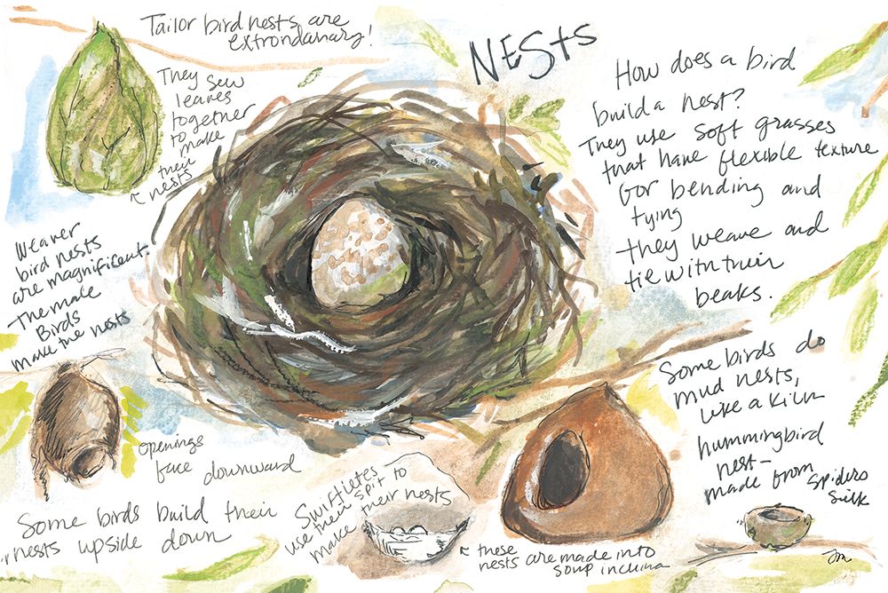 Nest Study art print by Jessica Mingo for $57.95 CAD