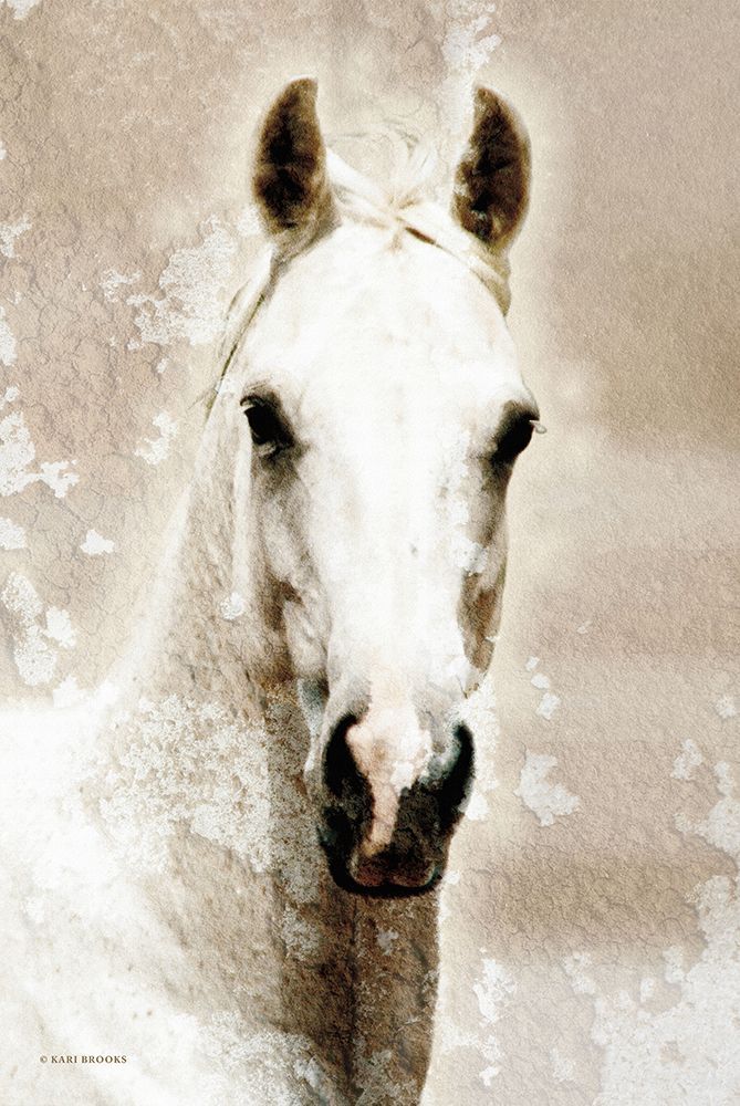 Amber art print by Kari Brooks for $57.95 CAD