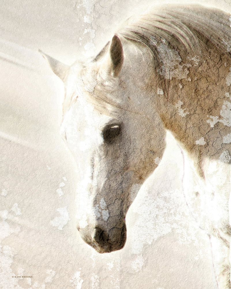 Mottled art print by Kari Brooks for $57.95 CAD