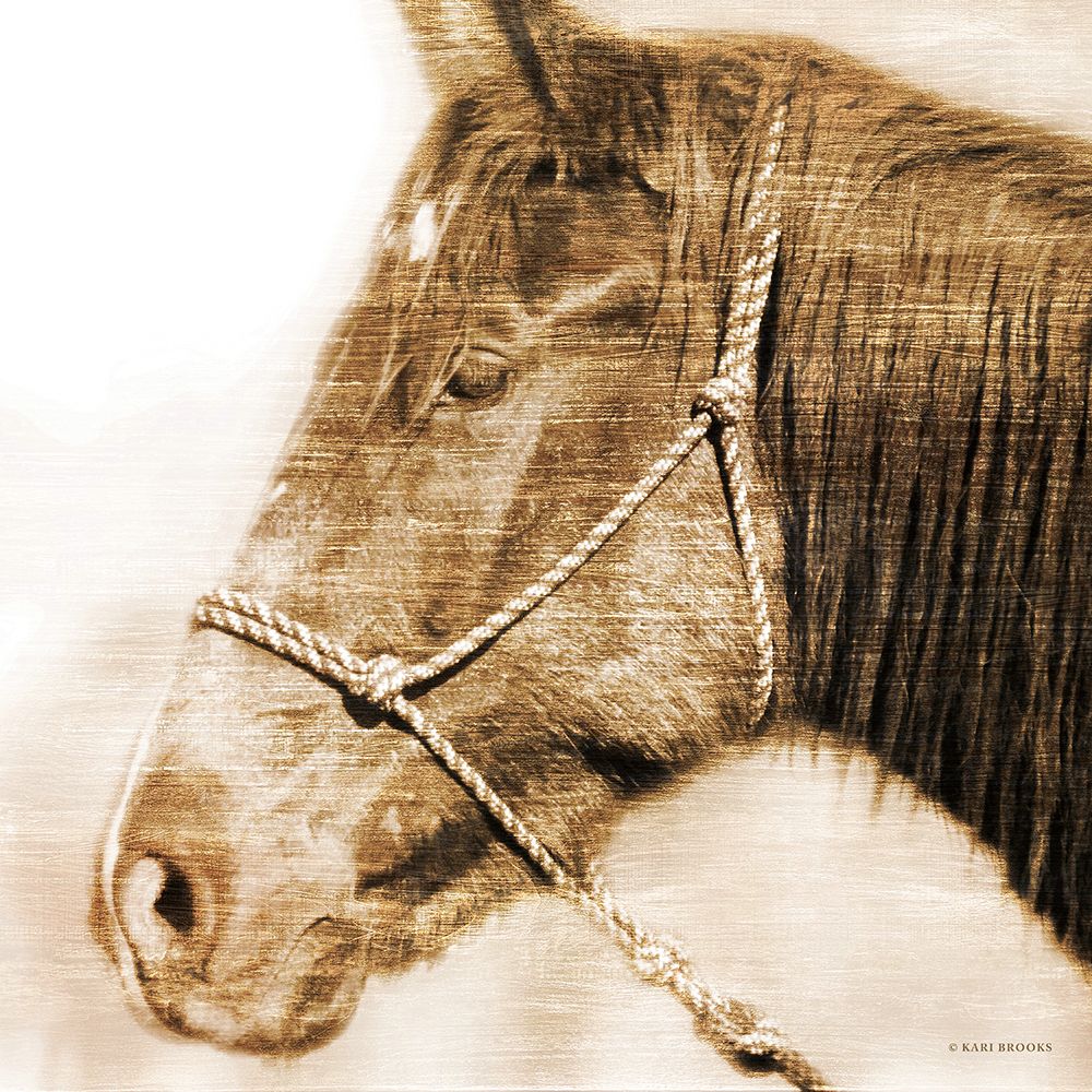 Hampton art print by Kari Brooks for $57.95 CAD
