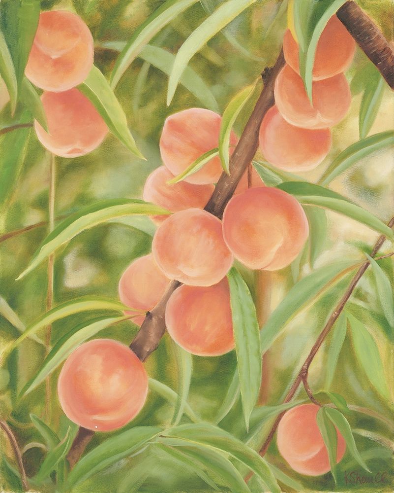 Peach Perfect art print by Kate Sherrill for $57.95 CAD