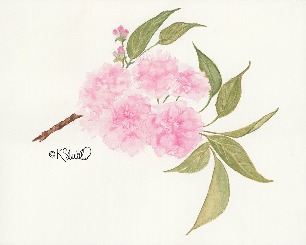 Bashful Blossoms art print by Kate Sherrill for $57.95 CAD