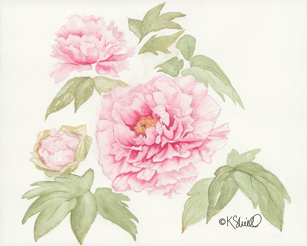 Garden Blush art print by Kate Sherrill for $57.95 CAD