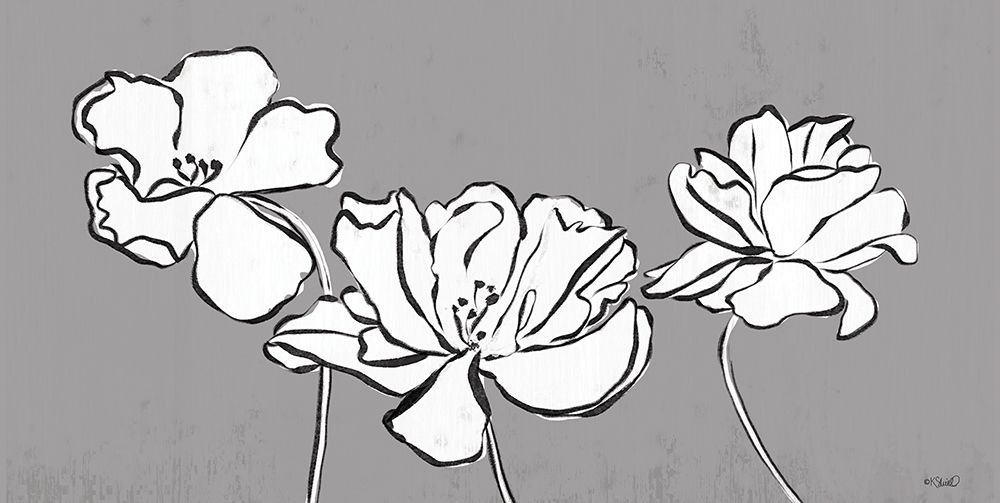 Three Blooms Sketch art print by Kate Sherrill for $57.95 CAD