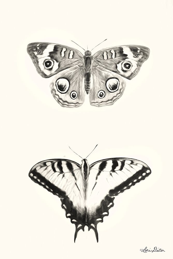 Butterflies     art print by Lori Deiter for $57.95 CAD