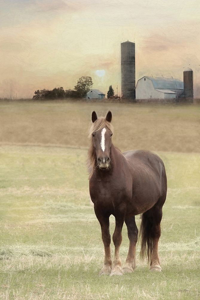 Jackson Horse art print by Lori Deiter for $57.95 CAD