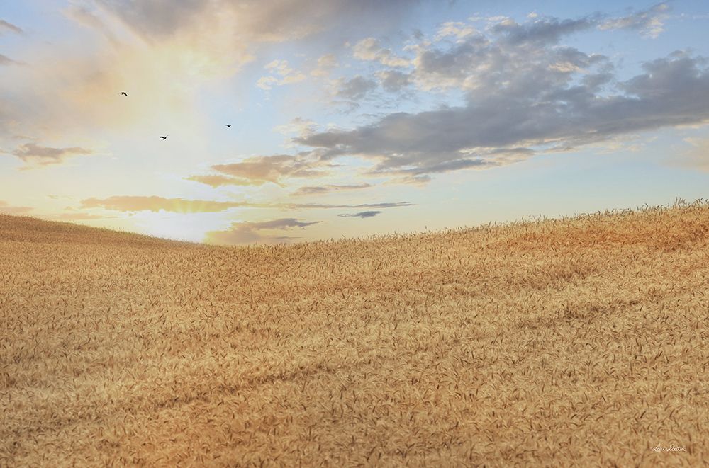 Amber Waves of Grain at Sunrise art print by Lori Deiter for $57.95 CAD