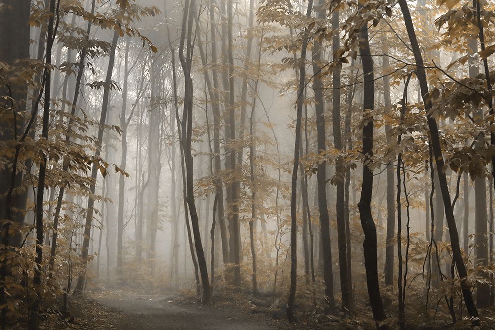 Foggy Forest in Fall art print by Lori Deiter for $57.95 CAD