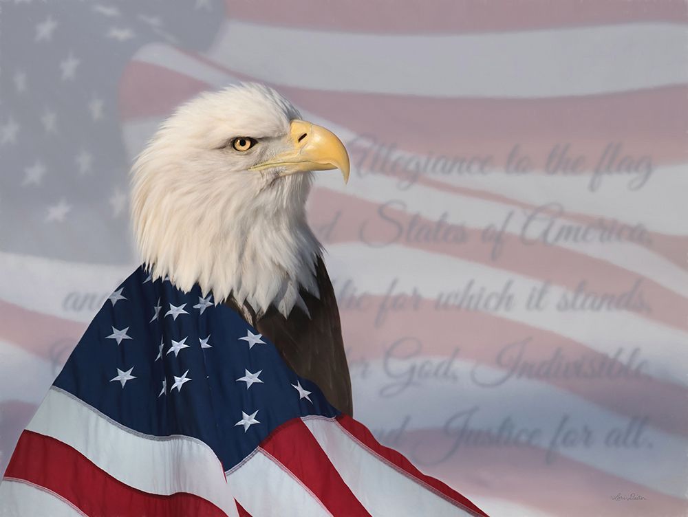 Patriotic Bald Eagle art print by Lori Deiter for $57.95 CAD