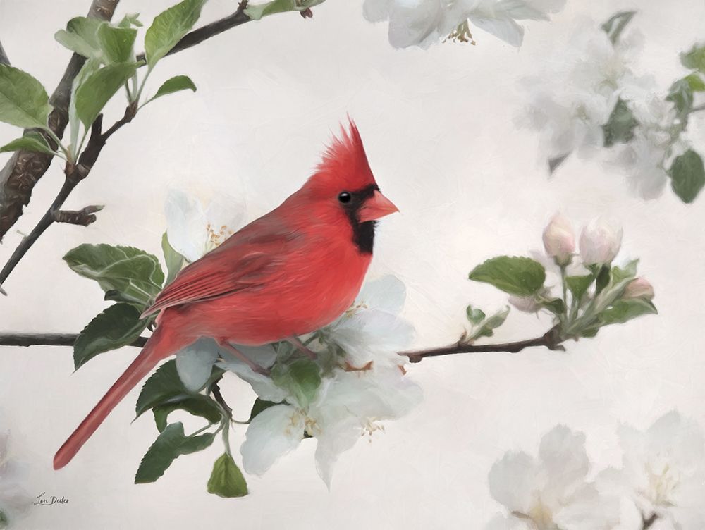 Spring Cardinal art print by Lori Deiter for $57.95 CAD