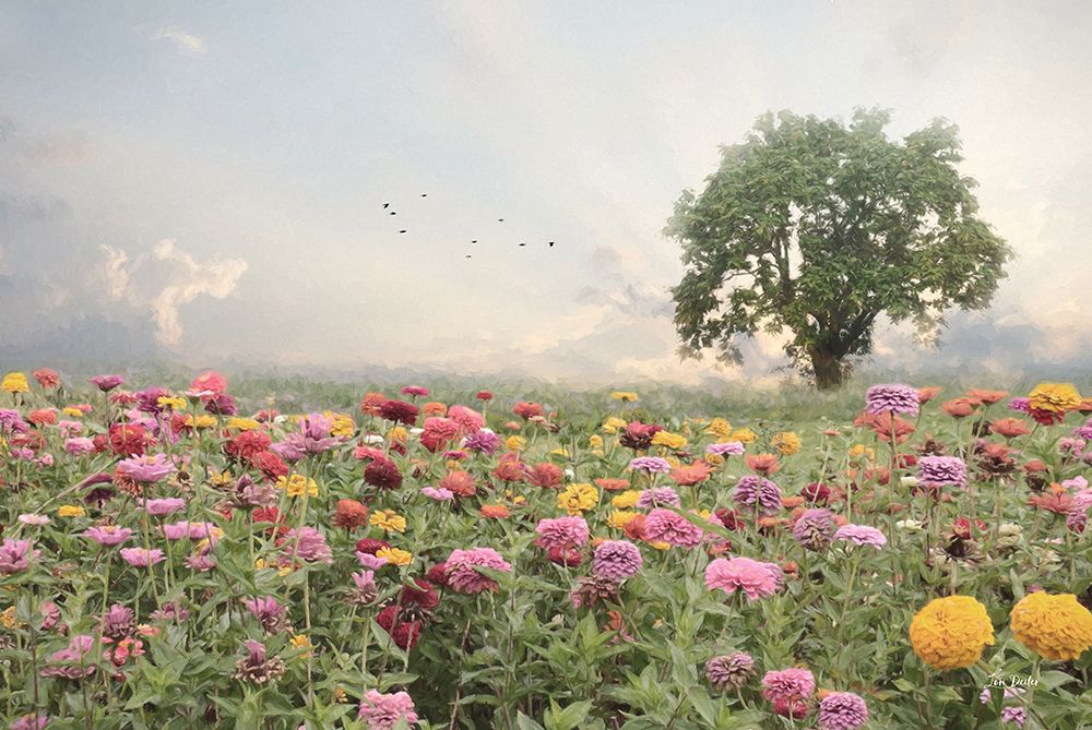 Zinnia Field art print by Lori Deiter for $57.95 CAD