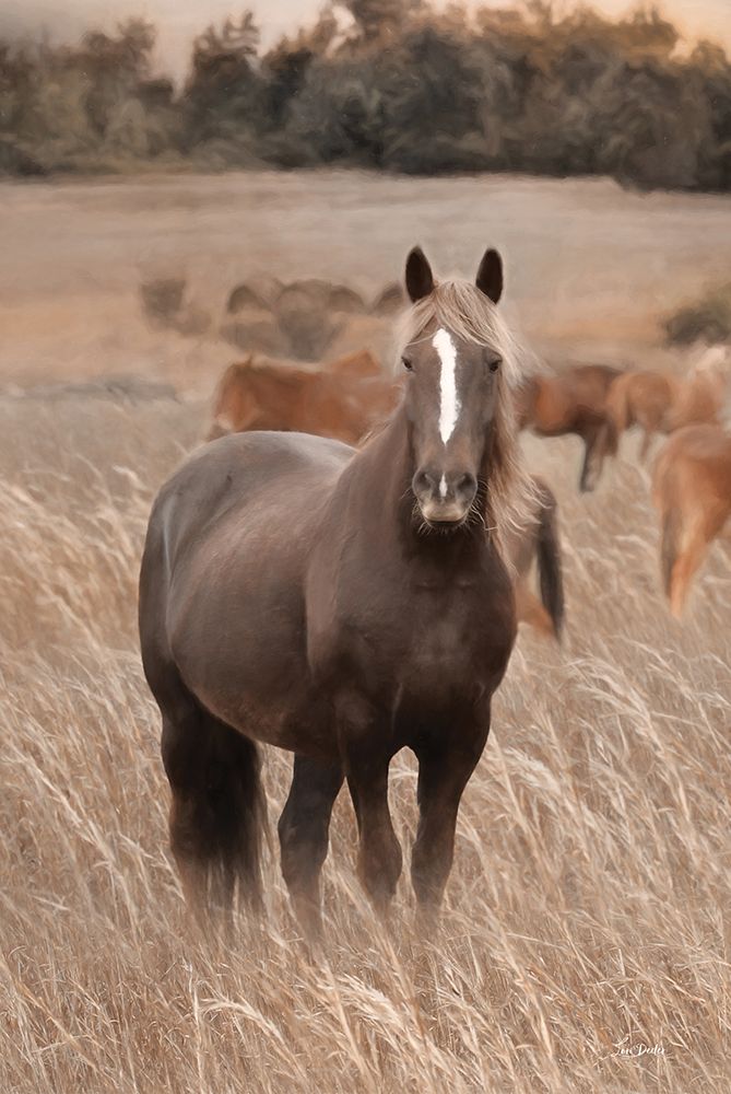 Hazy Day Horse art print by Lori Deiter for $57.95 CAD